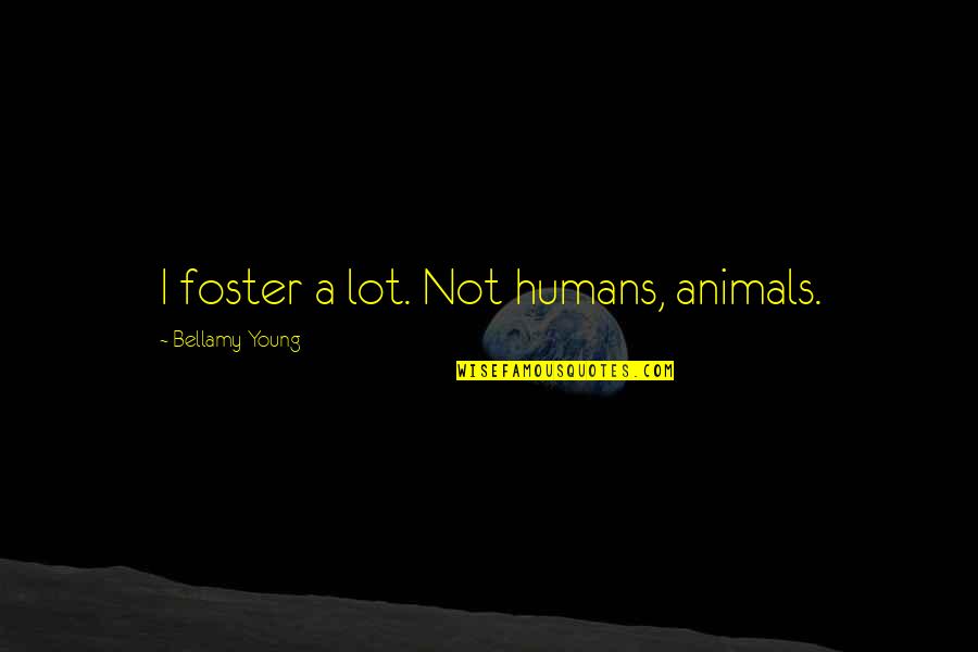 Heybethmay Quotes By Bellamy Young: I foster a lot. Not humans, animals.