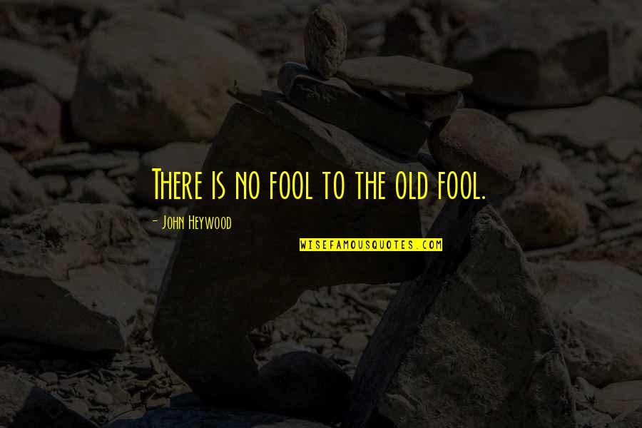 Heywood Quotes By John Heywood: There is no fool to the old fool.