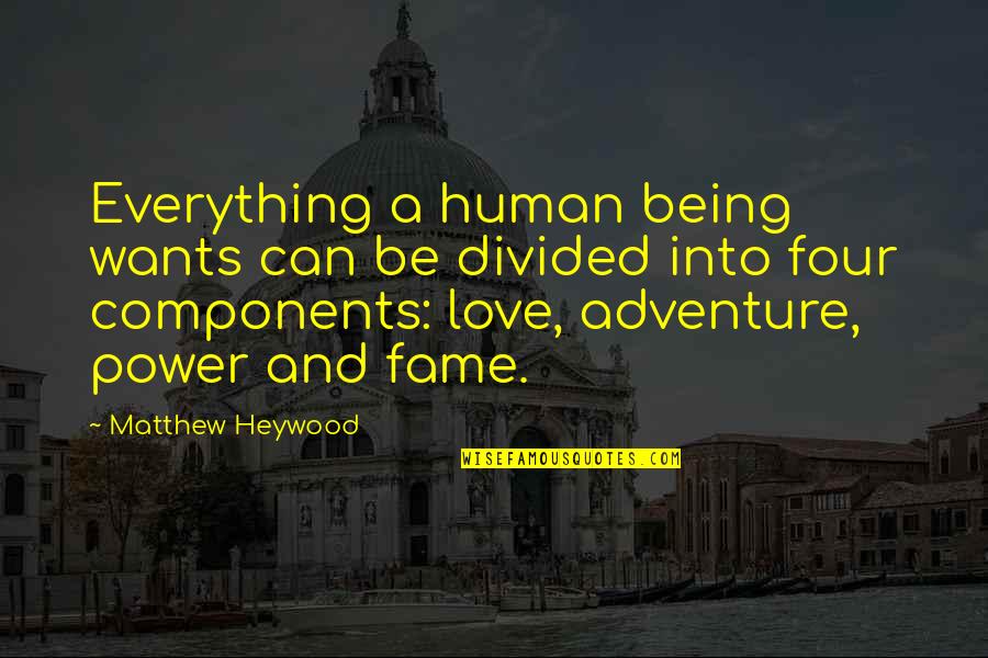 Heywood Quotes By Matthew Heywood: Everything a human being wants can be divided