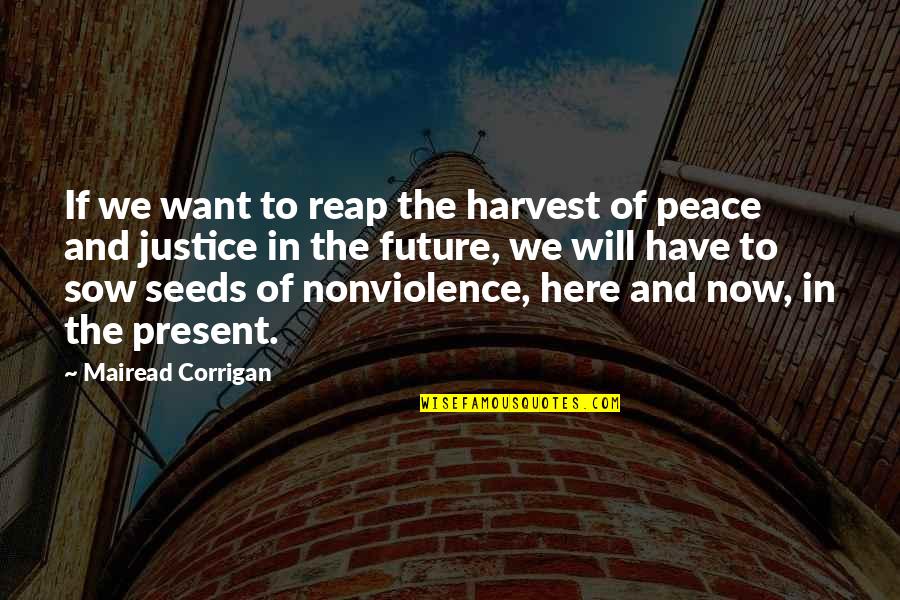 Hezeleo Quotes By Mairead Corrigan: If we want to reap the harvest of