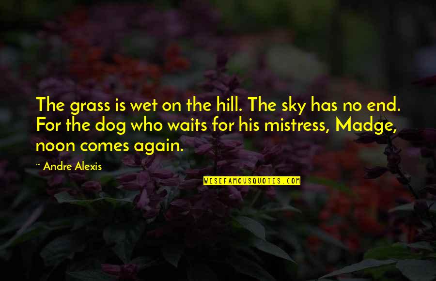 Hh Sheikh Mohammed Bin Rashid Quotes By Andre Alexis: The grass is wet on the hill. The
