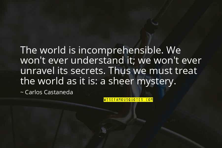 Hhgttg Dont Panic Quotes By Carlos Castaneda: The world is incomprehensible. We won't ever understand