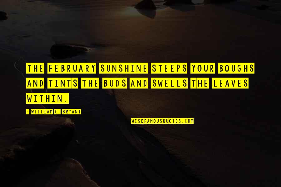 Hi February Quotes By William C. Bryant: The February sunshine steeps your boughs and tints Hi February Quotes By William C. Bryant: The February sunshine steeps your boughs and tints