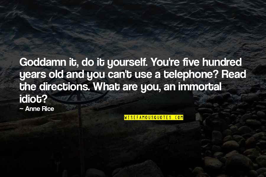 Hi Five Quotes By Anne Rice: Goddamn it, do it yourself. You're five hundred