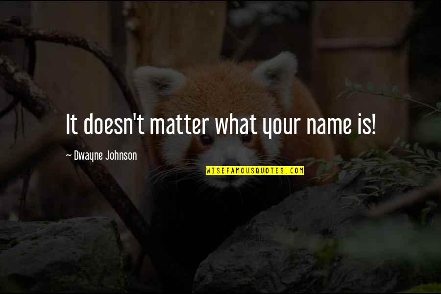 Hi My Name Is Quotes By Dwayne Johnson: It doesn't matter what your name is!