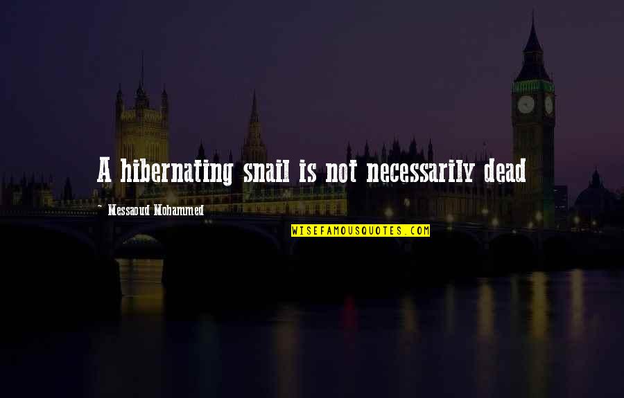 Hibernate Quotes By Messaoud Mohammed: A hibernating snail is not necessarily dead