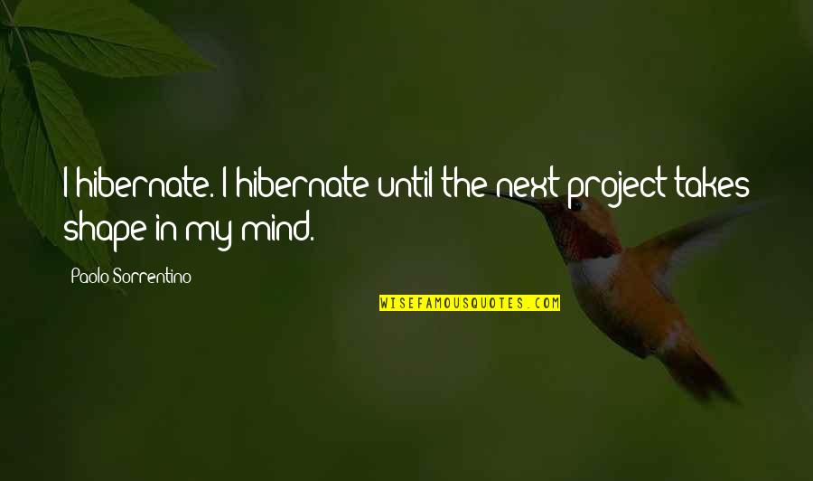 Hibernate Quotes By Paolo Sorrentino: I hibernate. I hibernate until the next project