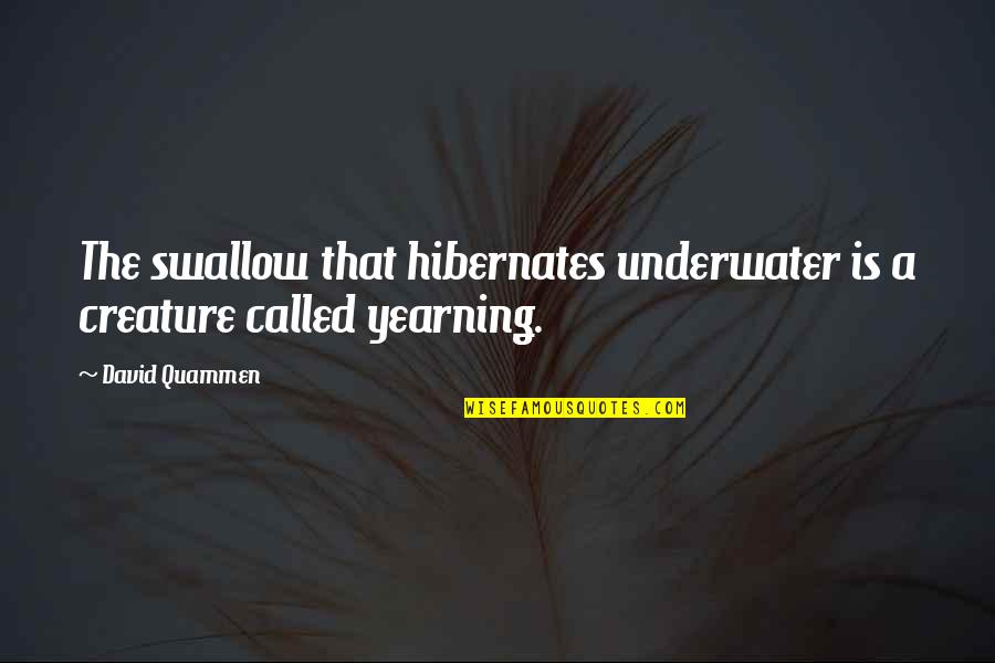 Hibernates Quotes By David Quammen: The swallow that hibernates underwater is a creature