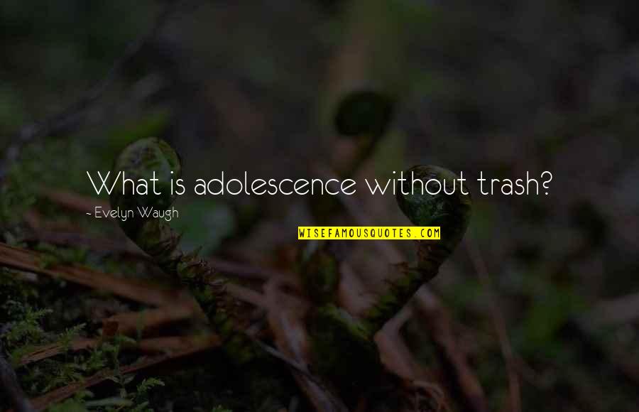 Hibrain Quotes By Evelyn Waugh: What is adolescence without trash? Hibrain Quotes By Evelyn Waugh: What is adolescence without trash?