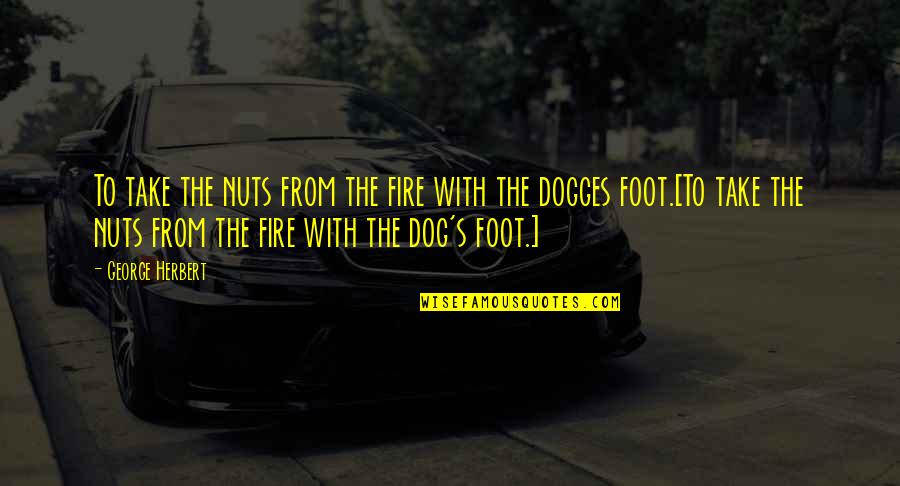 Hick Senior Quotes By George Herbert: To take the nuts from the fire with Hick Senior Quotes By George Herbert: To take the nuts from the fire with