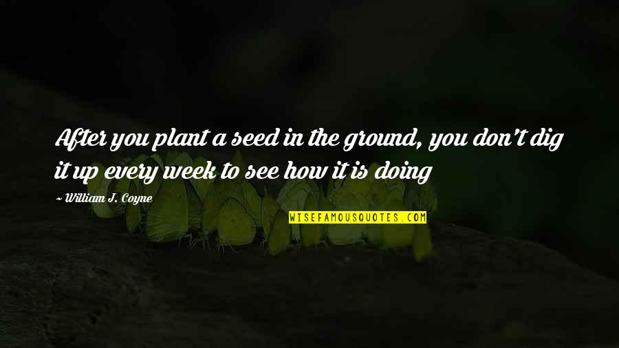Hickleys Quotes By William J. Coyne: After you plant a seed in the ground,