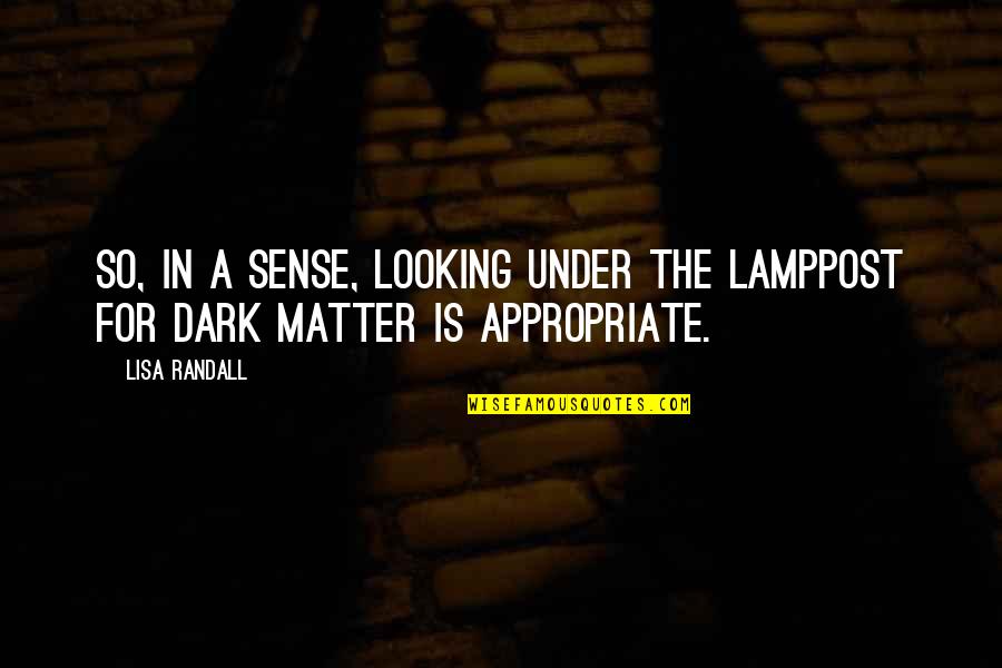 Hidajat Endramukti Quotes By Lisa Randall: So, in a sense, looking under the lamppost
