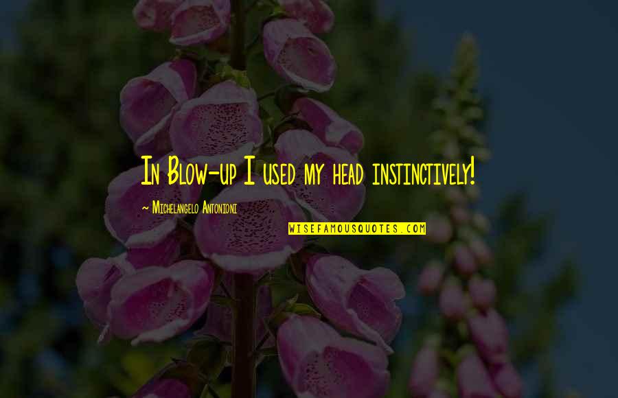 Hidayat Quotes By Michelangelo Antonioni: In Blow-up I used my head instinctively!