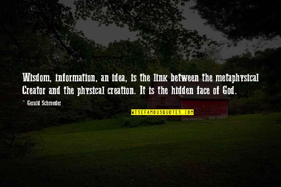 Hidden Face Quotes By Gerald Schroeder: Wisdom, information, an idea, is the link between