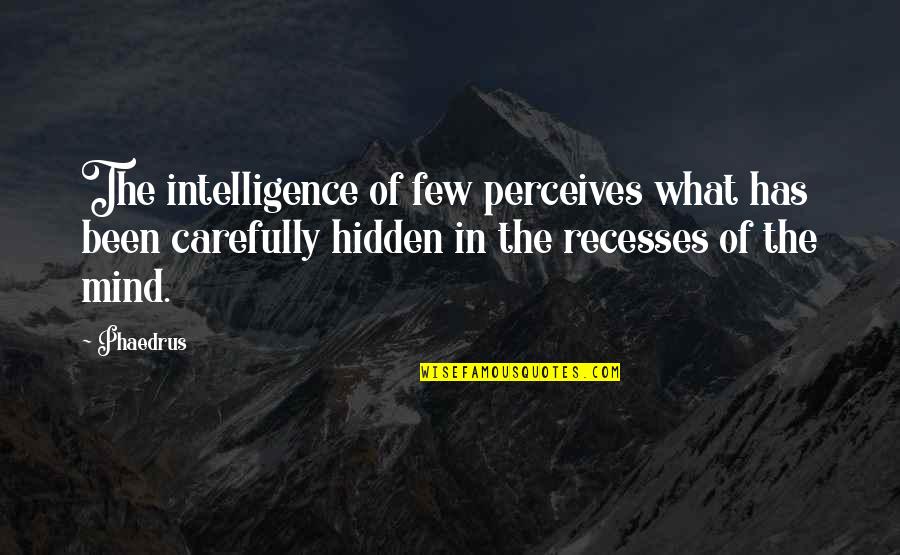 Hidden Intelligence Quotes By Phaedrus: The intelligence of few perceives what has been