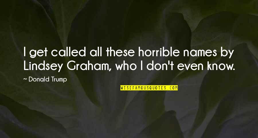 Hidden Messages Quotes By Donald Trump: I get called all these horrible names by