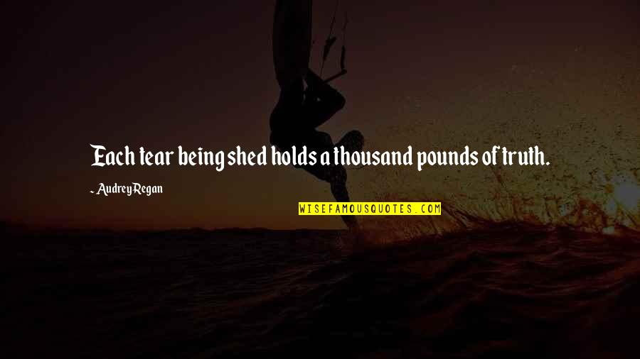 Hidden Tears Quotes By Audrey Regan: Each tear being shed holds a thousand pounds