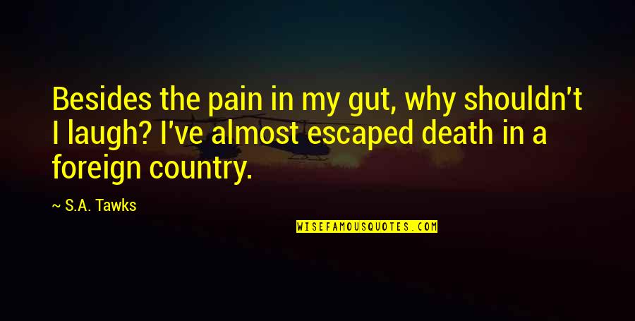 Hidden Valley Quotes By S.A. Tawks: Besides the pain in my gut, why shouldn't
