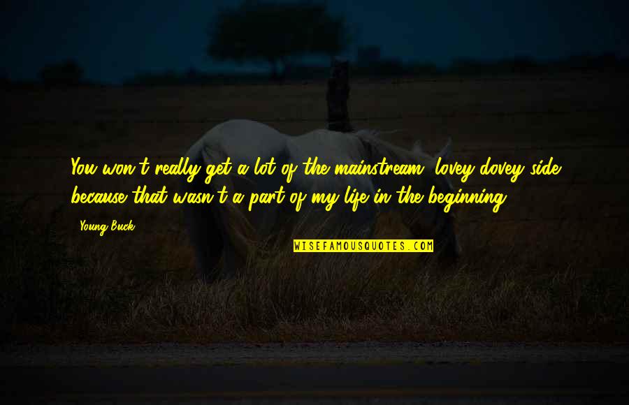 Hidden Valley Quotes By Young Buck: You won't really get a lot of the Hidden Valley Quotes By Young Buck: You won't really get a lot of the