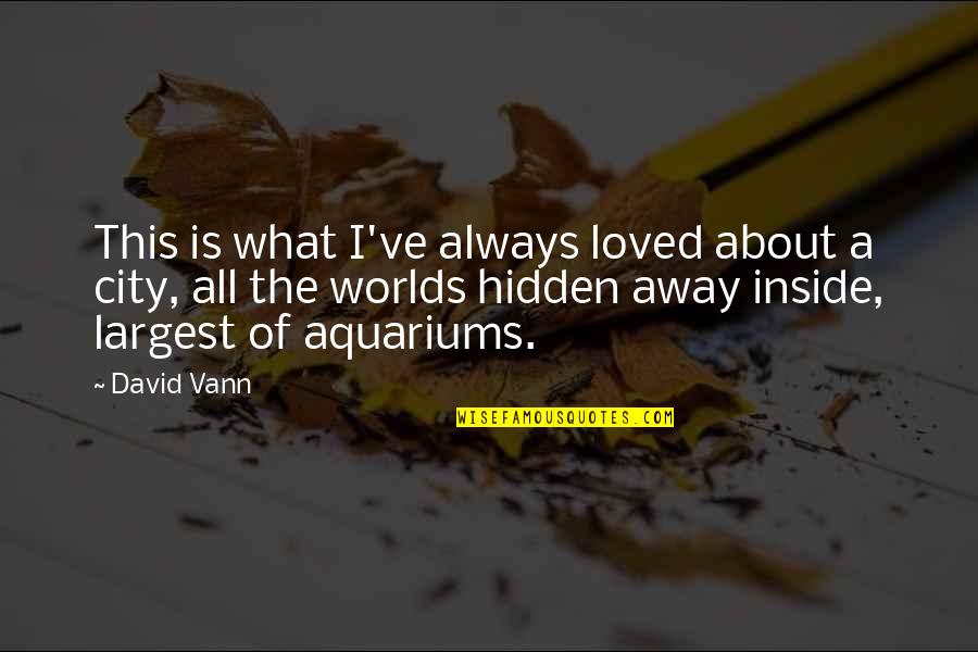 Hidden Worlds Quotes By David Vann: This is what I've always loved about a