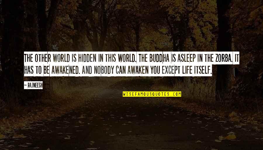 Hidden Worlds Quotes By Rajneesh: The other world is hidden in this world.
