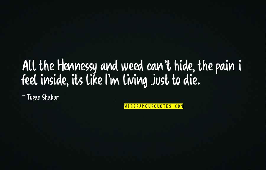 Hide The Pain Quotes By Tupac Shakur: All the Hennessy and weed can't hide, the