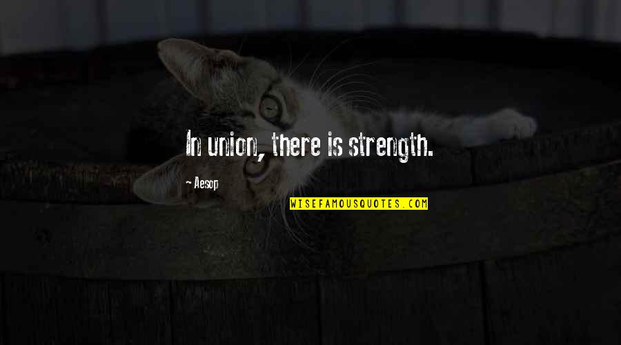 Hideable Quotes By Aesop: In union, there is strength.