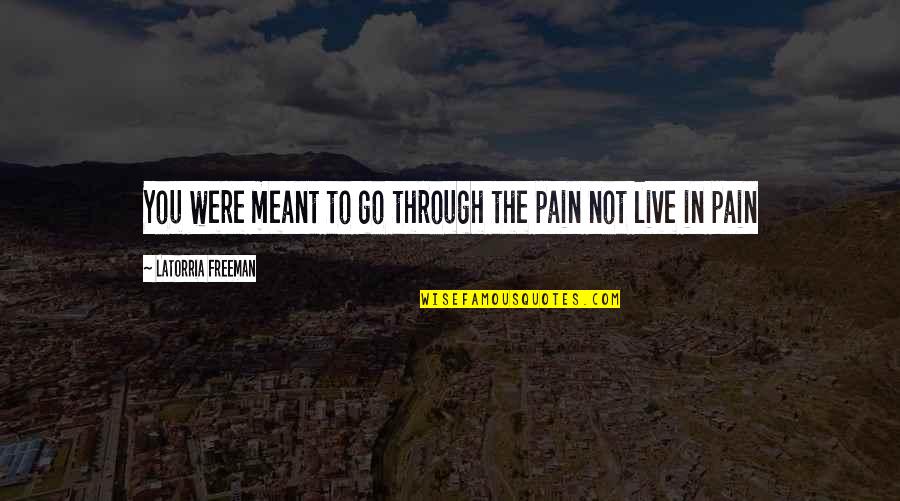 Hige And Blue Quotes By Latorria Freeman: You were meant to go through the pain