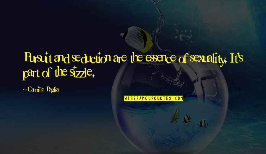 High Aspiration Quotes By Camille Paglia: Pursuit and seduction are the essence of sexuality.