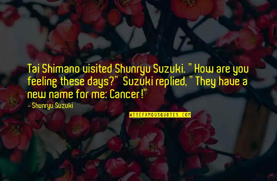 High Cotton Quotes By Shunryu Suzuki: Tai Shimano visited Shunryu Suzuki. "How are you