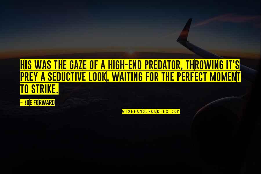 High End Quotes By Zoe Forward: His was the gaze of a high-end predator,