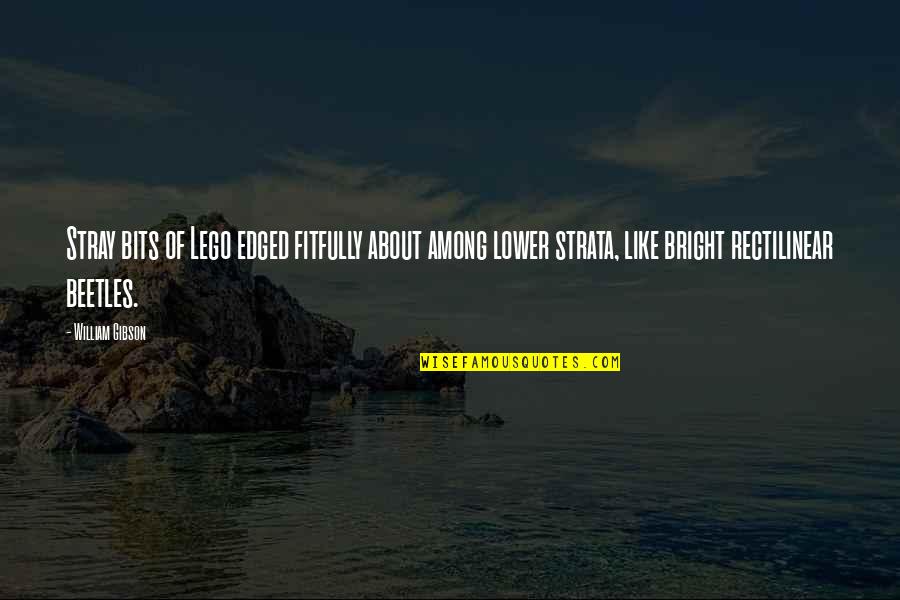 High Expectations Big Disappointments Quotes By William Gibson: Stray bits of Lego edged fitfully about among