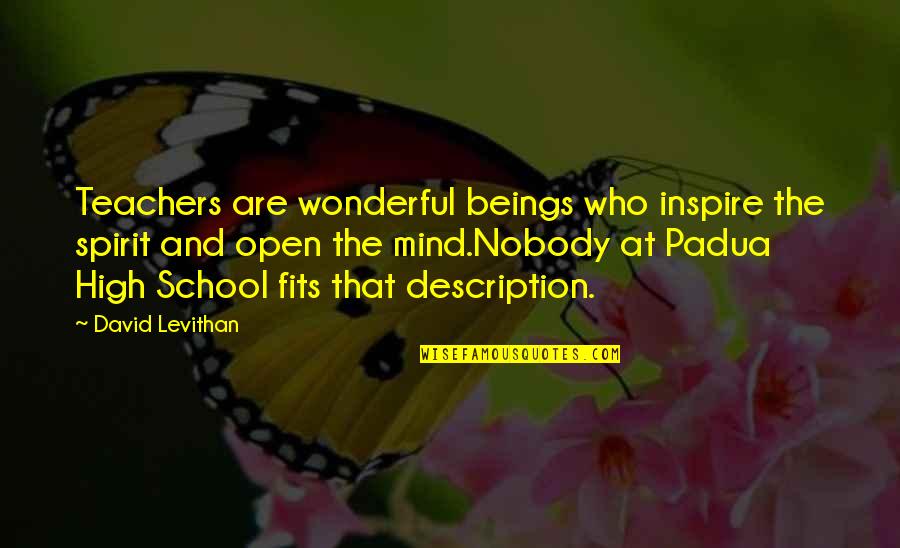 High In The Spirit Quotes By David Levithan: Teachers are wonderful beings who inspire the spirit