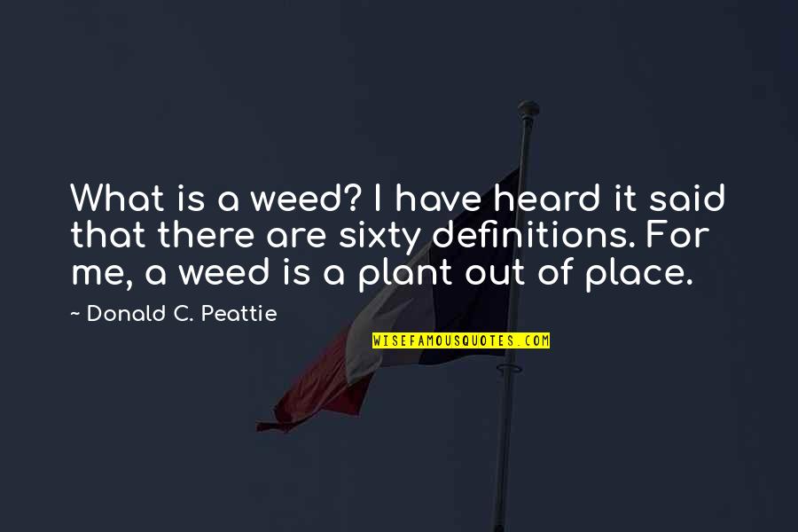 High Iq Funny Quotes By Donald C. Peattie: What is a weed? I have heard it