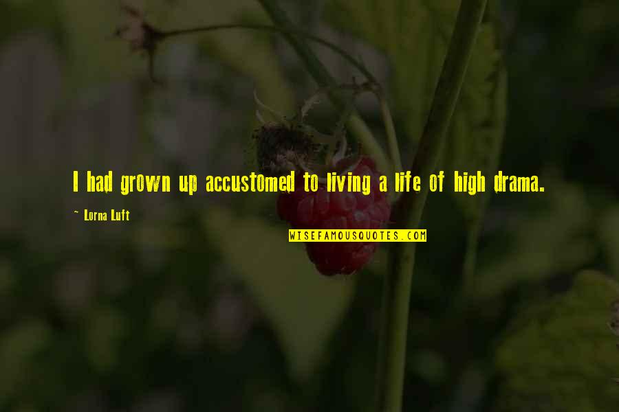 High Life Quotes By Lorna Luft: I had grown up accustomed to living a