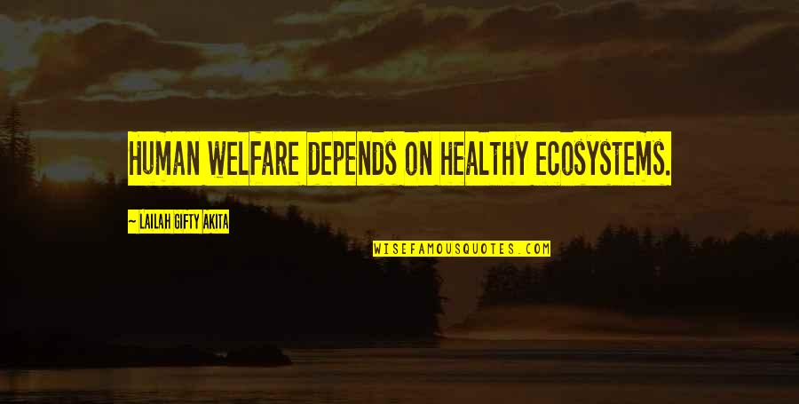 High Mountain Quotes By Lailah Gifty Akita: Human welfare depends on healthy ecosystems.