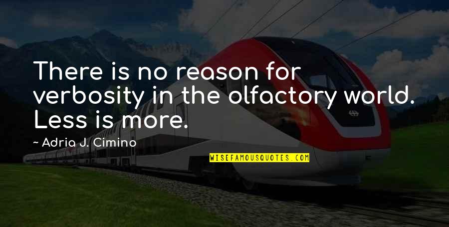 High Performing Teams Quotes By Adria J. Cimino: There is no reason for verbosity in the