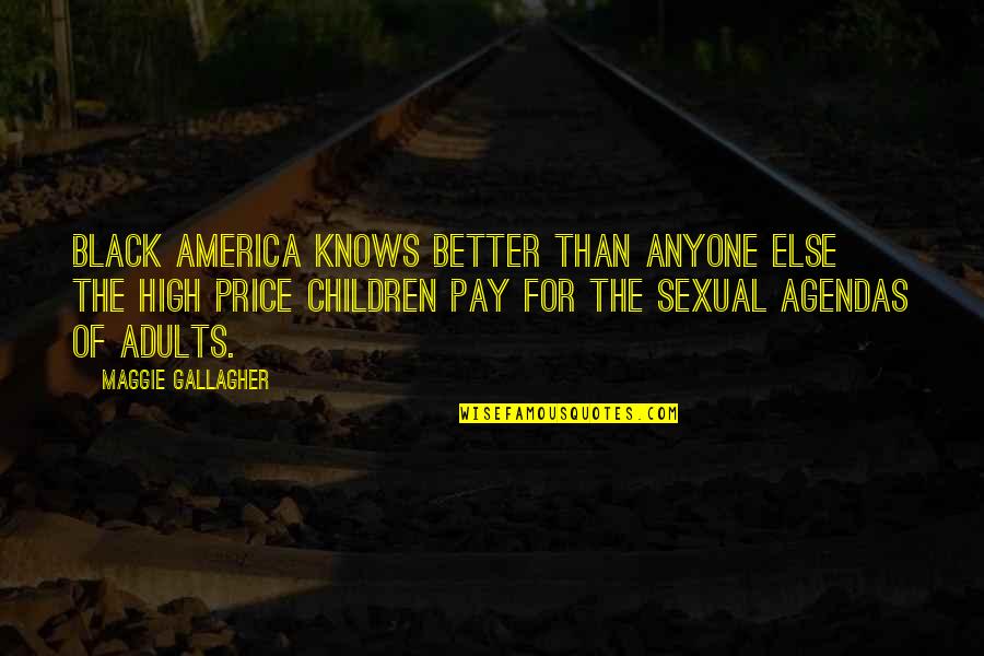 High Price To Pay Quotes By Maggie Gallagher: Black America knows better than anyone else the
