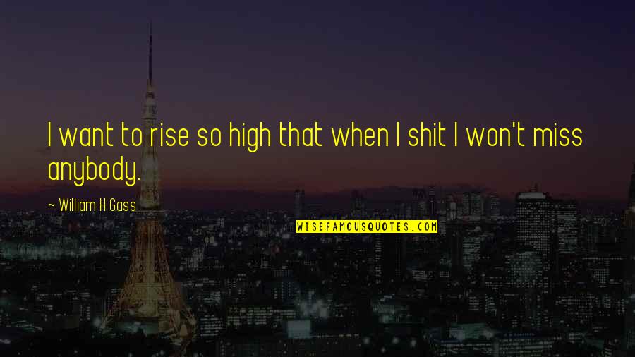 High Rise Quotes By William H Gass: I want to rise so high that when