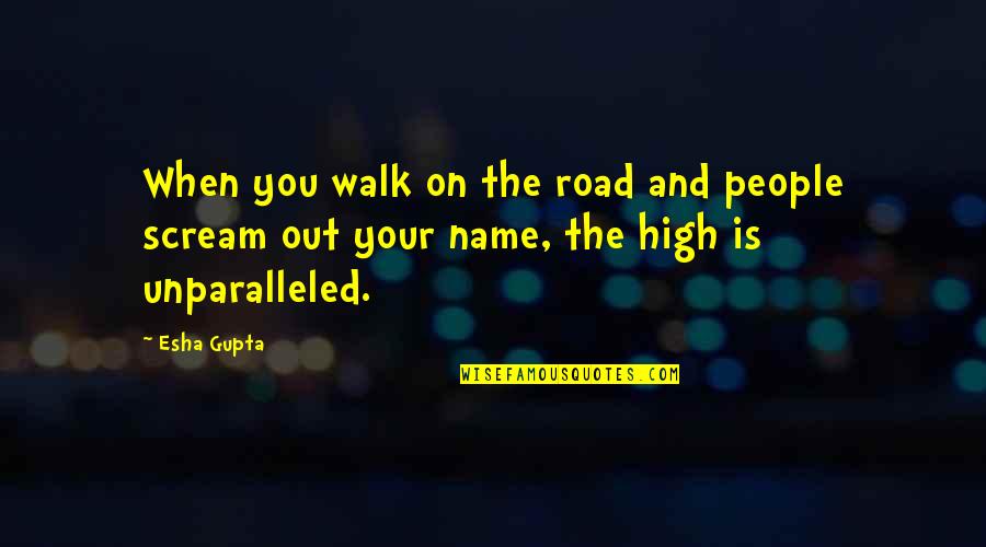 High Road Quotes By Esha Gupta: When you walk on the road and people