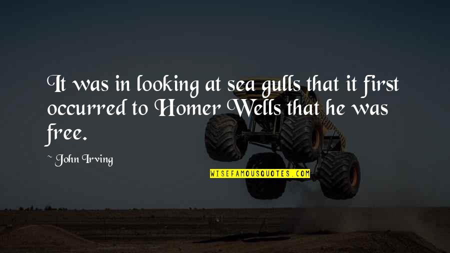 High School Hallway Quotes By John Irving: It was in looking at sea gulls that