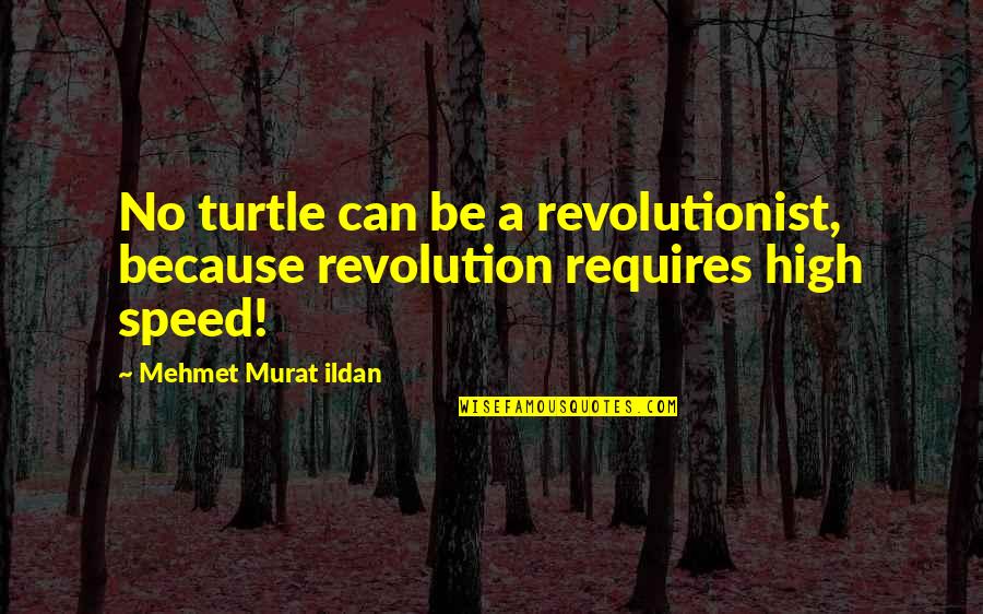 High School Musical Love Quotes By Mehmet Murat Ildan: No turtle can be a revolutionist, because revolution