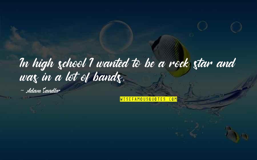 High School Quotes By Adam Sandler: In high school I wanted to be a
