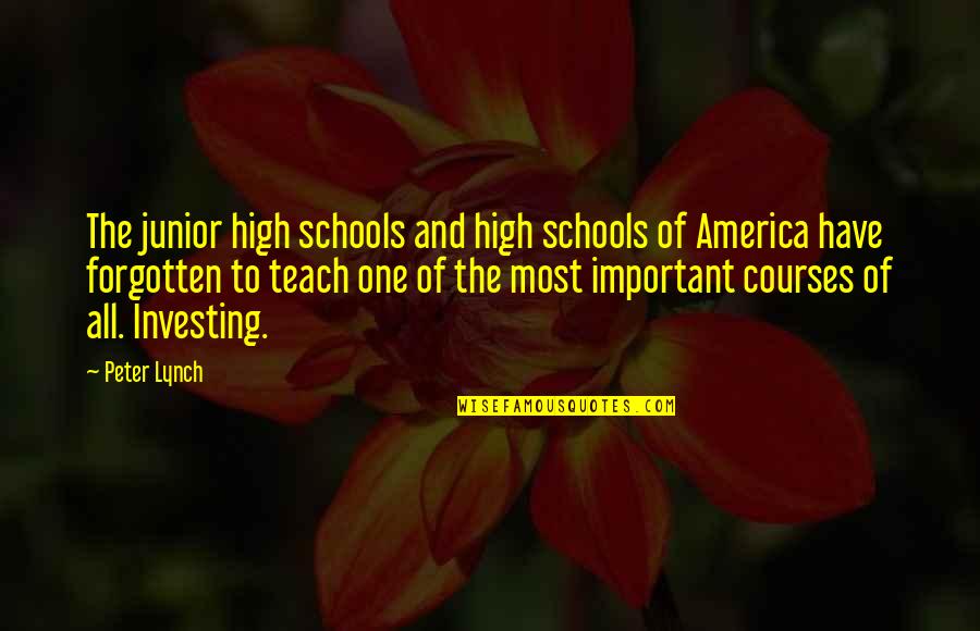 High Schools Quotes By Peter Lynch: The junior high schools and high schools of