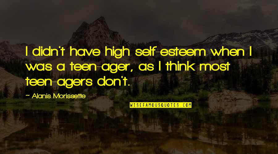 High Self Esteem Quotes By Alanis Morissette: I didn't have high self-esteem when I was