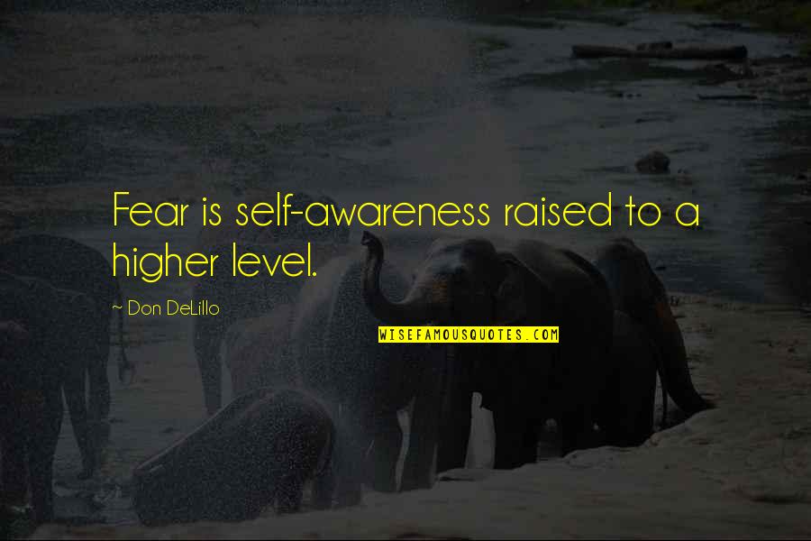 Higher Self Quotes By Don DeLillo: Fear is self-awareness raised to a higher level.