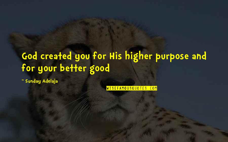Higher Truth Quotes By Sunday Adelaja: God created you for His higher purpose and