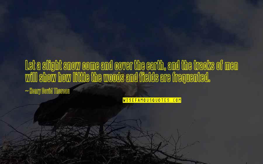 Highers Propane Quotes By Henry David Thoreau: Let a slight snow come and cover the