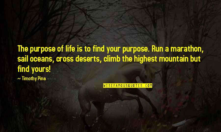 Highest Mountain Quotes By Timothy Pina: The purpose of life is to find your