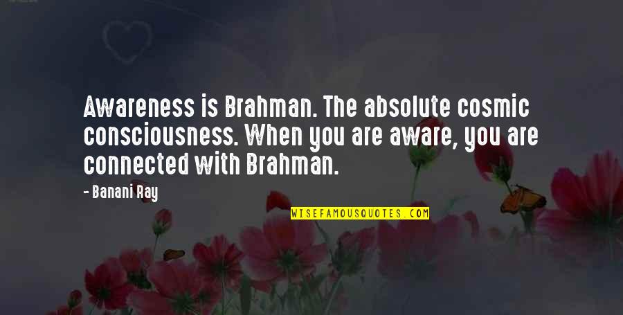 Highjacked Brain Quotes By Banani Ray: Awareness is Brahman. The absolute cosmic consciousness. When